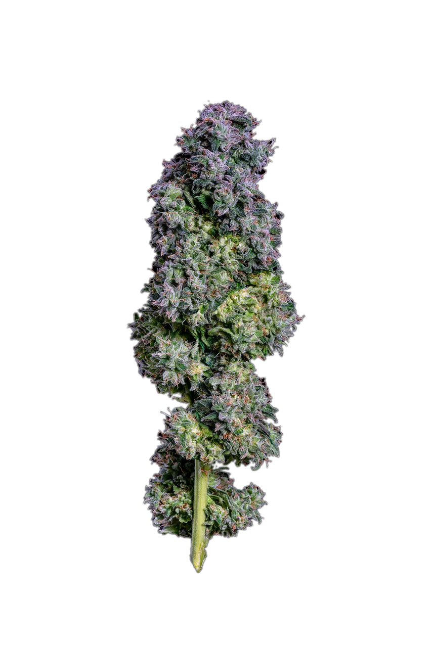 Grape Ape — Hybrid